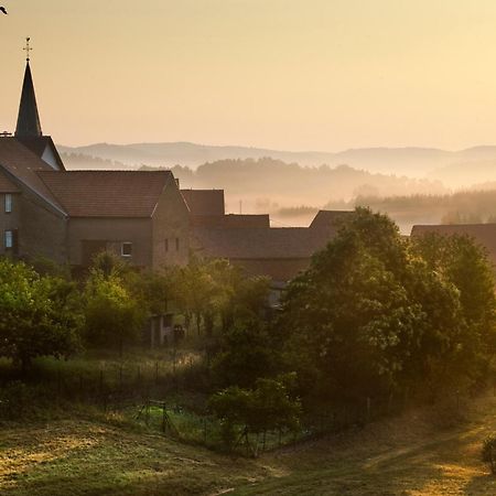 Spa Hotel Restaurant Au Lion D'Or La Petite-Pierre Zewnętrze zdjęcie
