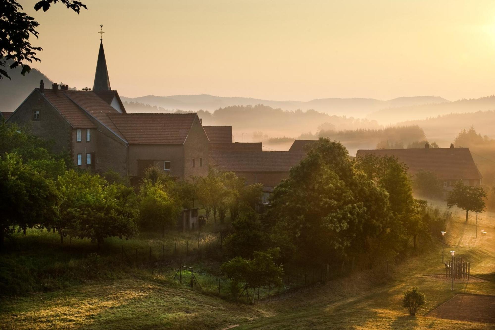 Spa Hotel Restaurant Au Lion D'Or La Petite-Pierre Zewnętrze zdjęcie