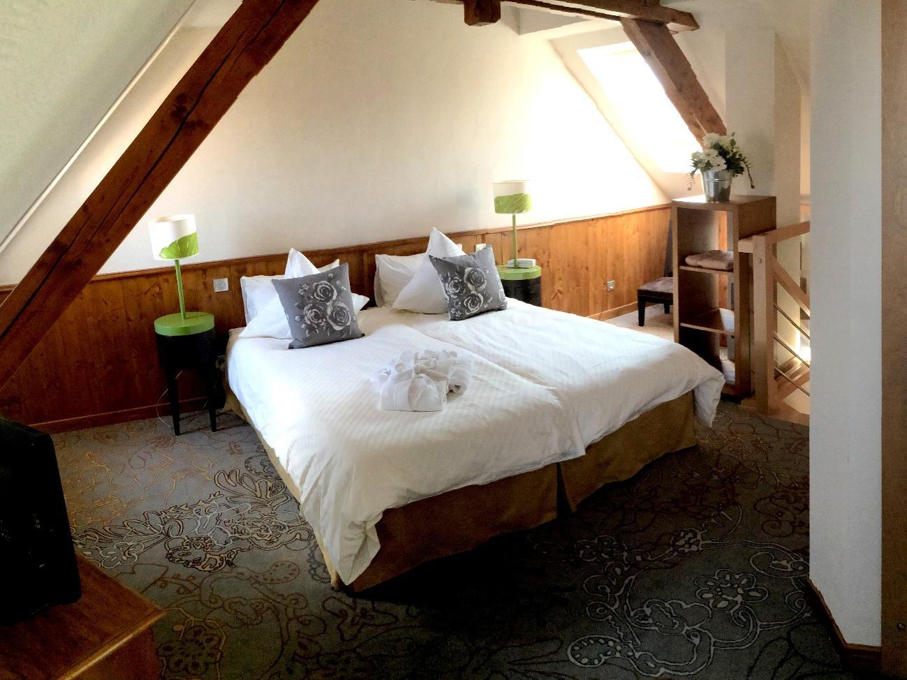 Spa Hotel Restaurant Au Lion D'Or La Petite-Pierre Zewnętrze zdjęcie